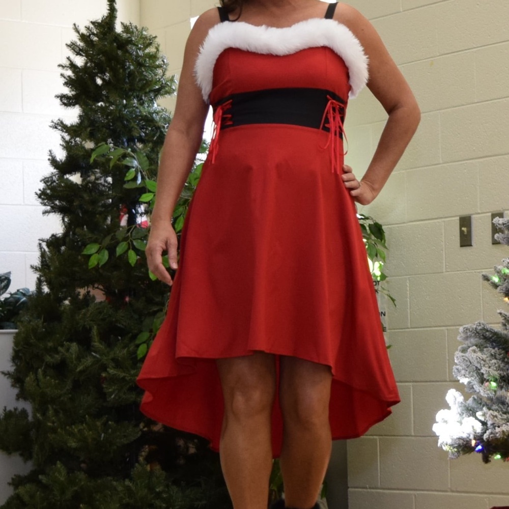 Elegant Red Holiday Dress
